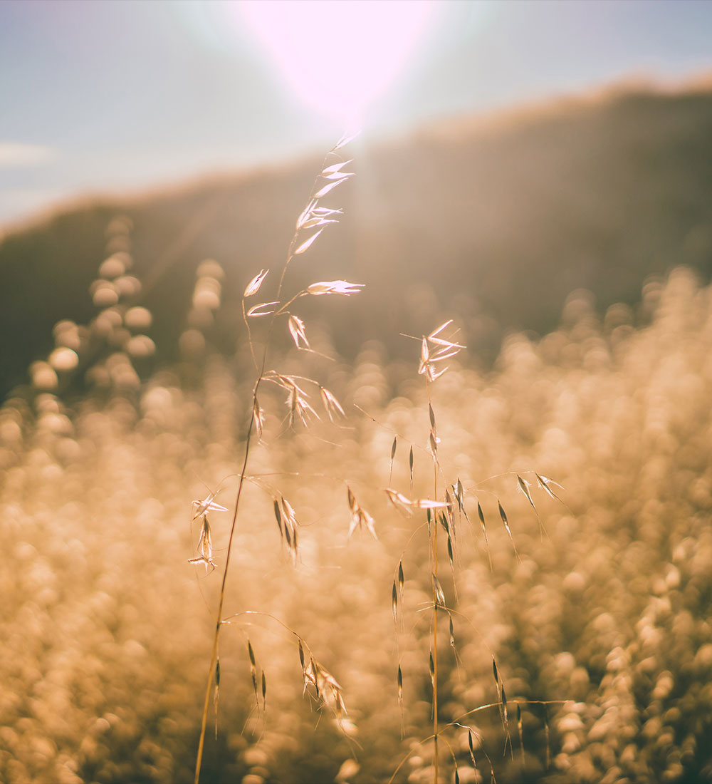 blog_dynamic05